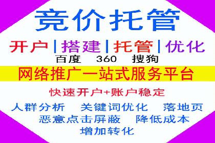 提升转化率：SEM广告投放的实战案例分享